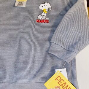 Peanuts Snoopy Gray Sweatshirt & Pants Set 12month